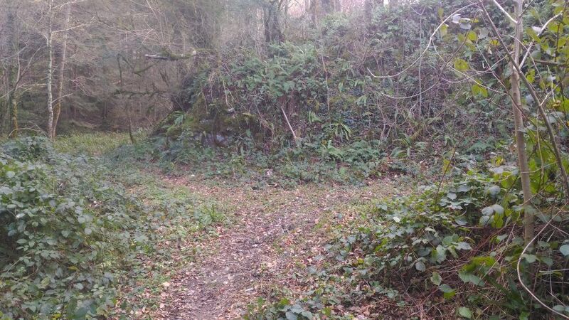 Pas d&rsquo;indication