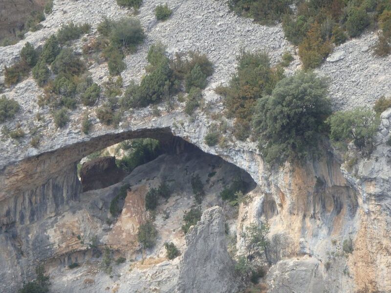 Durant le parcours : le Dauphin.